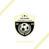 Logo Tien Truong Football Club – Đen Phối Vàng Kem
