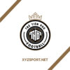 Logo Trẻ Tiền Phú Football Phiên Bản Màu Nâu Đồng Đẳng Cấp
